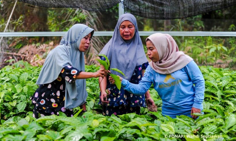 Abschluss des FONAP Mitgliederprojekts in Indonesien