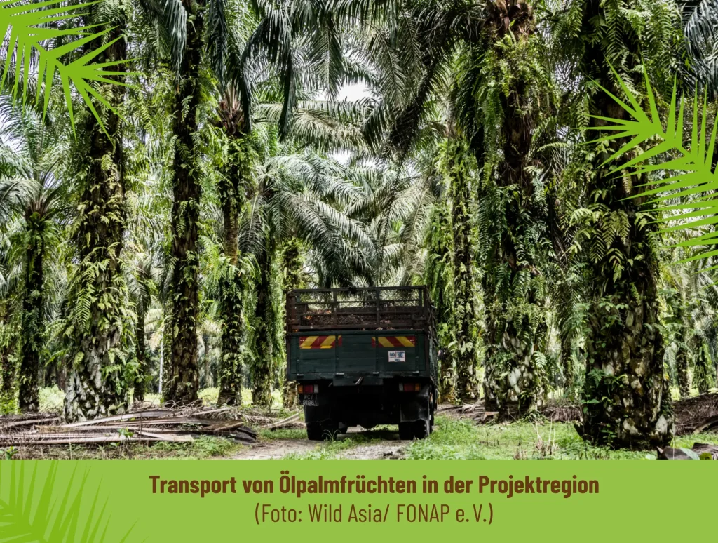 2018 — Das erste Mitgliederprojekt