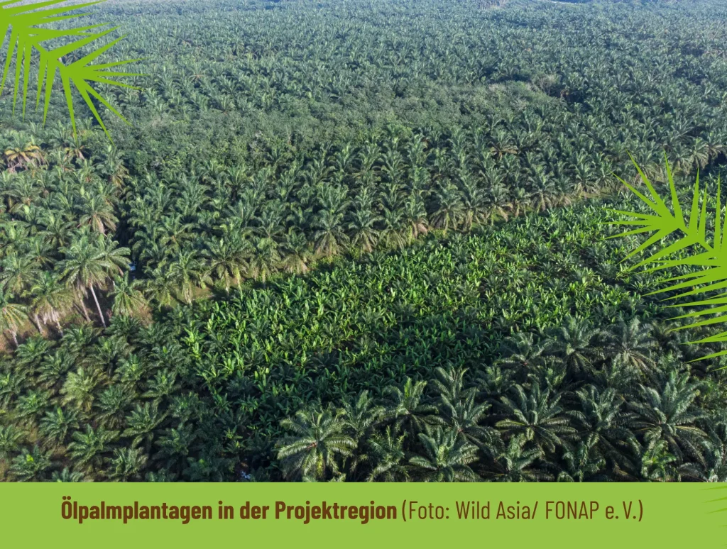 2019 — Neue Projektphase in Malaysia