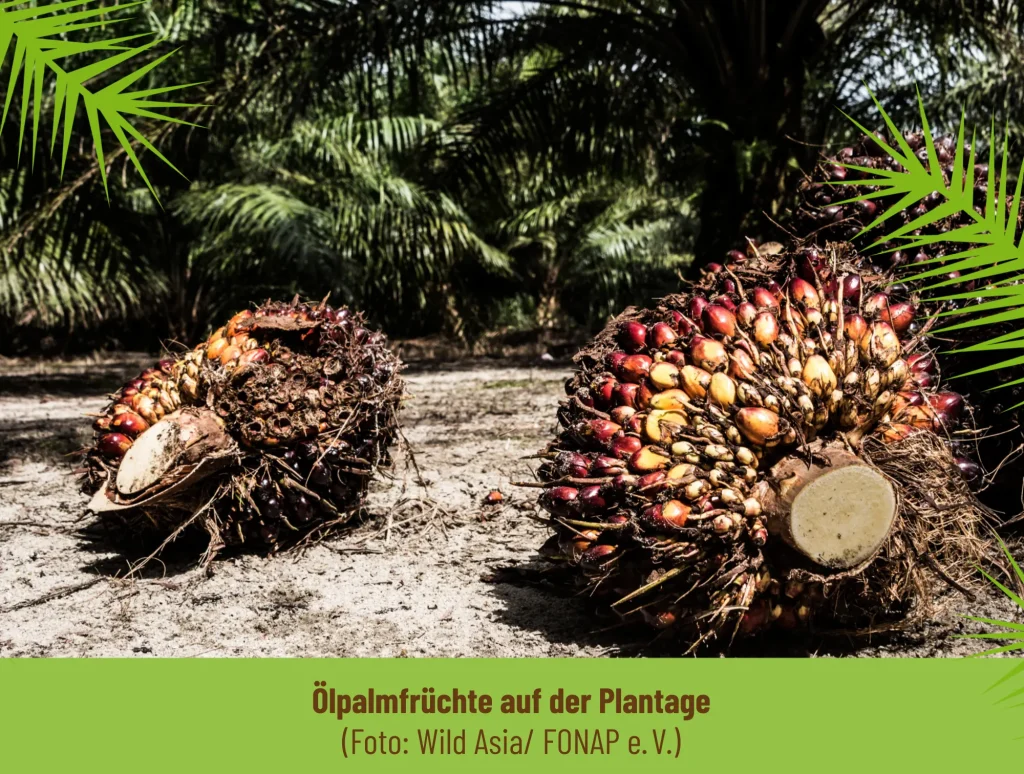 2021 — Abschluss des Mitgliederprojektes in Malaysia